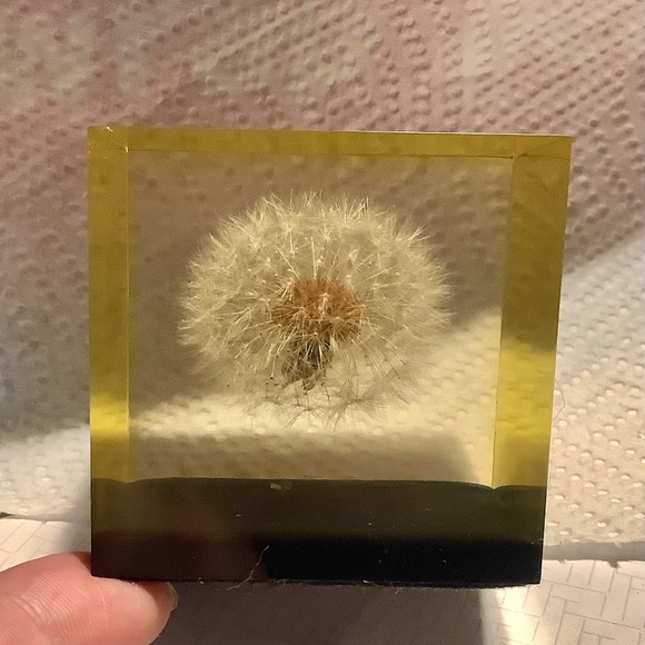Mid Century Dandelion Flower Lucite Cube Paperweight by Gumps USA 1960s - Picture 1 of 10